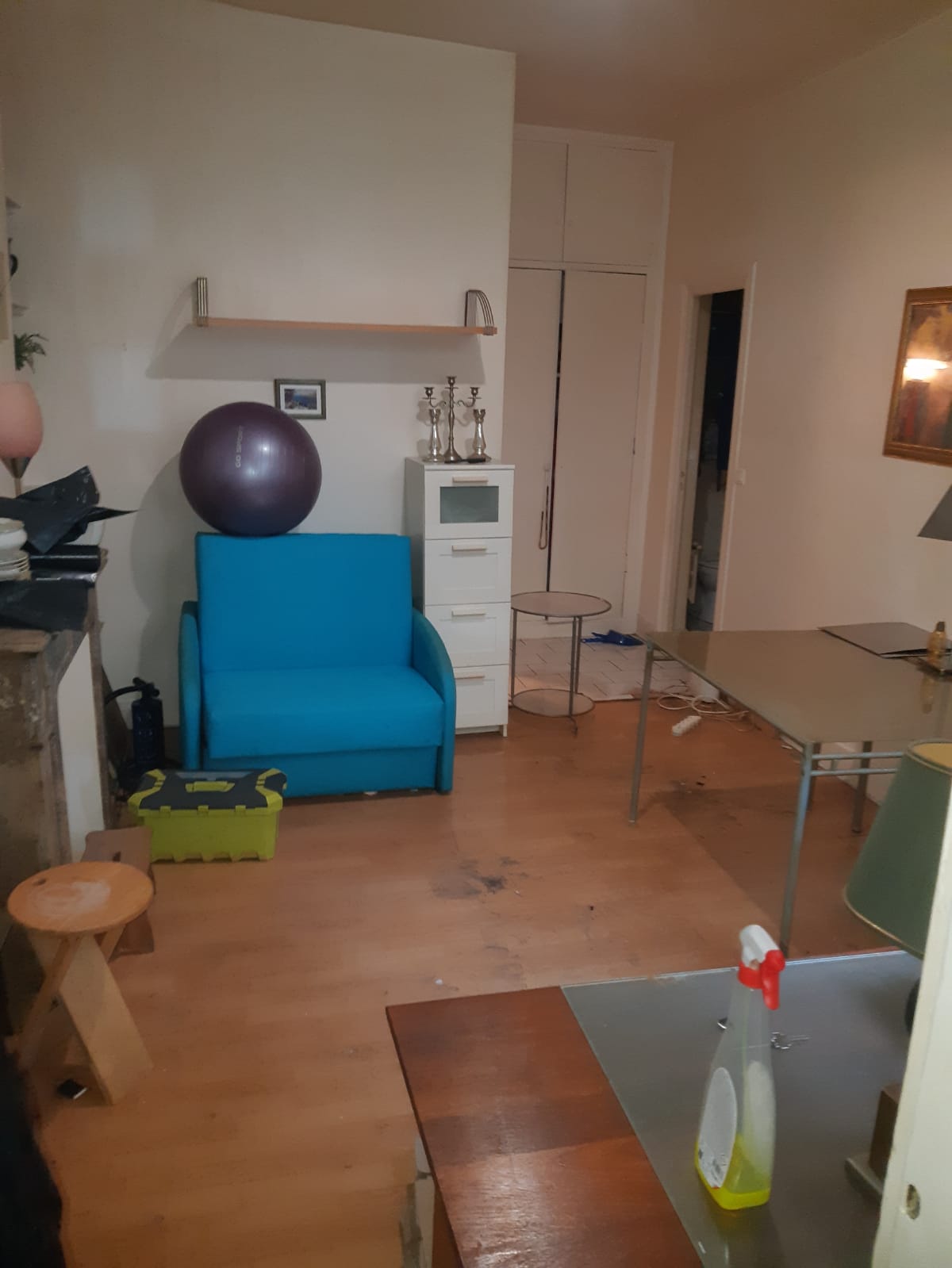 Pièce d'un appartement parisien encombrée de meubles, canapé, commode et objets divers, avant le débarras